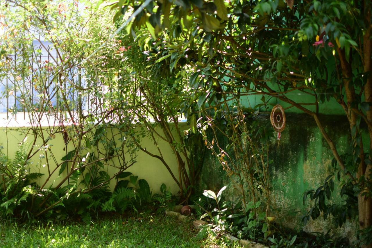 Hostel Holístico Casa de las Abuelas Balneário Camboriú Exterior foto